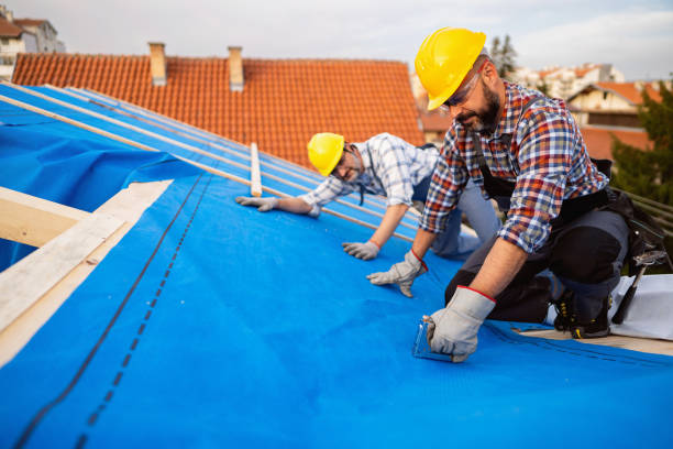 Best Roof Gutter Cleaning  in Three Lakes, FL